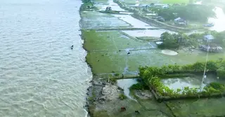 অতিবৃষ্টি-জোয়ারে বিপর্যস্ত পটুয়াখালীর কৃষি ও অবকাঠামো, সমন্বিত উদ্যোগের পরামর্শ